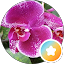 Mrs. C Avatar