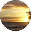 Brittany Wood Avatar
